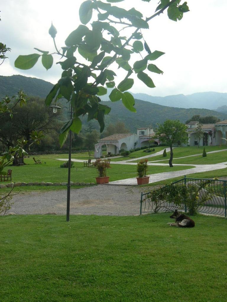 Tenuta Le Terre 1927 Guest House San Teodoro  Eksteriør bilde