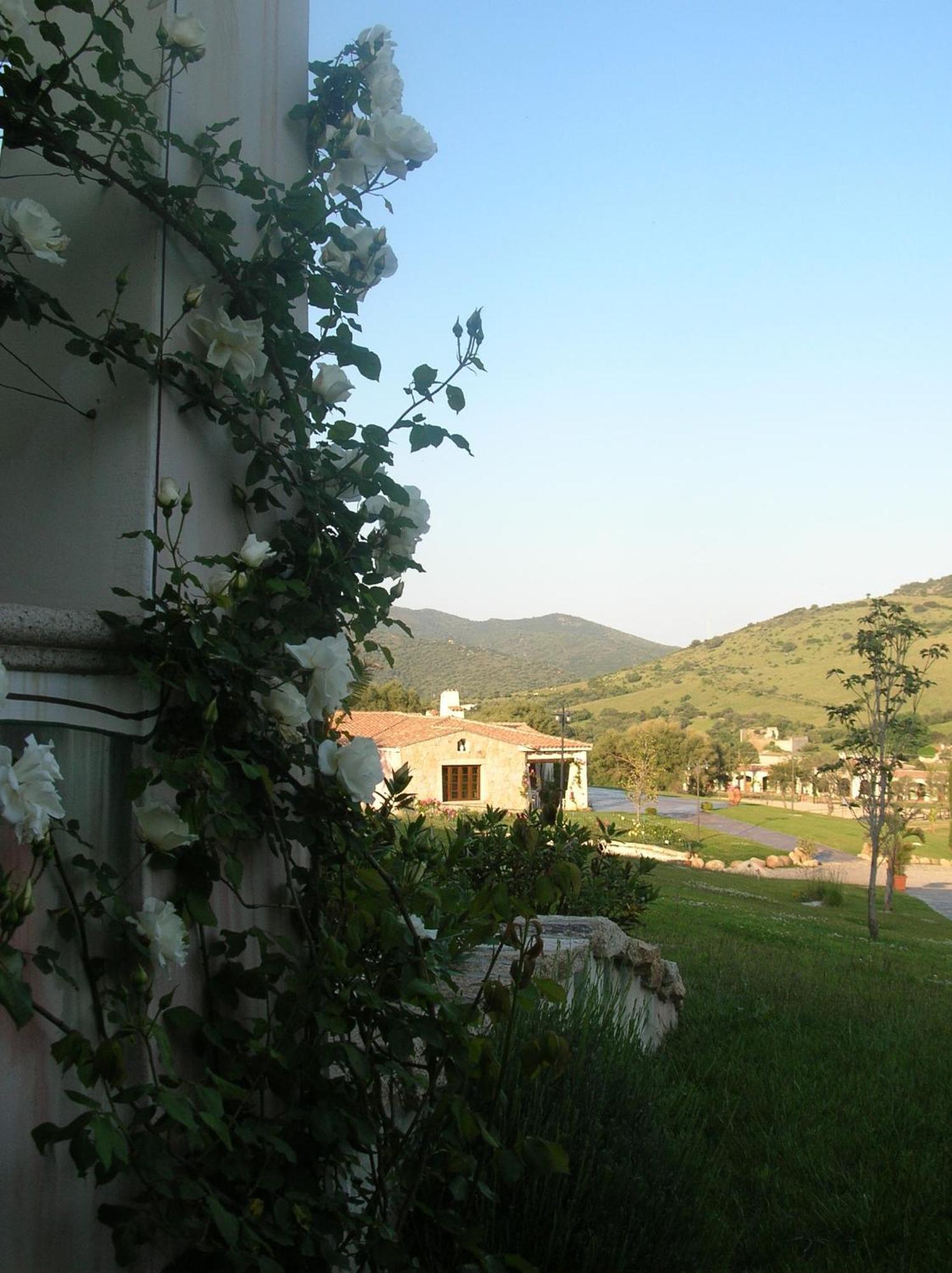 Tenuta Le Terre 1927 Guest House San Teodoro  Eksteriør bilde