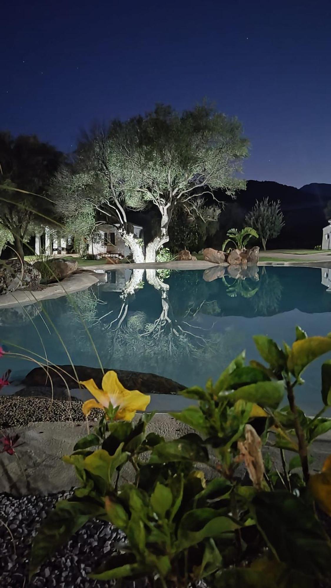 Tenuta Le Terre 1927 Guest House San Teodoro  Eksteriør bilde